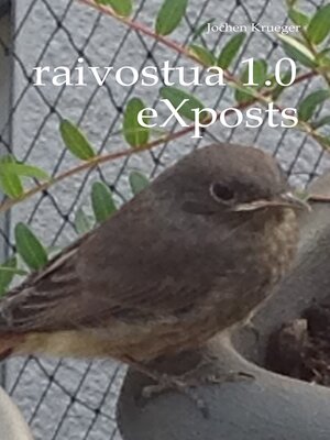 cover image of raivostua 1.0